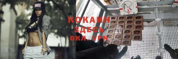 тгк Балахна