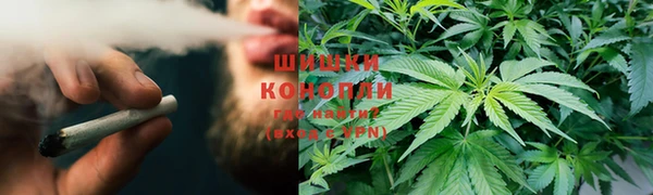 spice Снежногорск