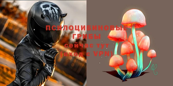 тгк Балахна