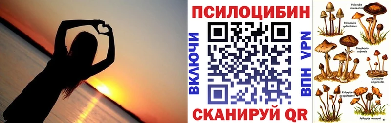 Галлюциногенные грибы Cubensis  Кукмор 